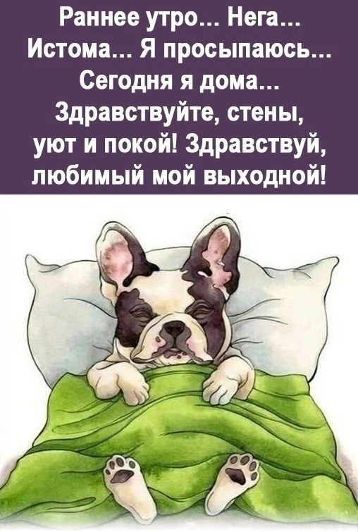 Раннее утро Нега Истома Я просыпаюсь Сегодня я дома Здравствуйте стены уют и покой Здравствуй любимый мой выходной