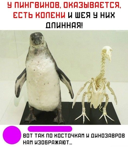 1 ПЦНГБЦНПВ ПНПЭЫЕЯЕТЕЯ ЕСТЬ КППЕНЦ Ц ШЕЯ Н НИХ ЦПНННПЯ _ апт тди пп ипстпчидп и пцнпзпврпв НПП НЗПБРЯЖПШТ