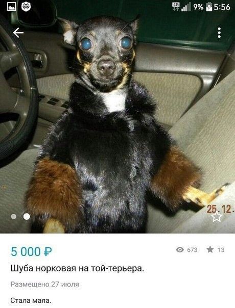 Ш чае550 Шуба норковая на тойчерьгра Сшпа мам