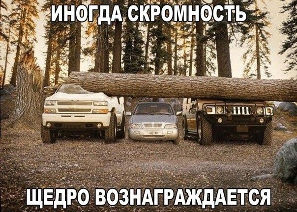 щвдйбвбзндгрдждАЕТся