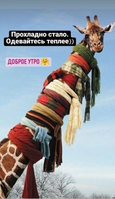 Прохладно стать Одевайтесь теплее _