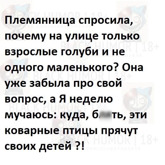 Племянница спросила почему на улице только взрослые голуби и не одного маленького Она уже забыла про свой вопрос 3 Я неделю мучаюсь куда блять эти коварные птицы прячут своих детей