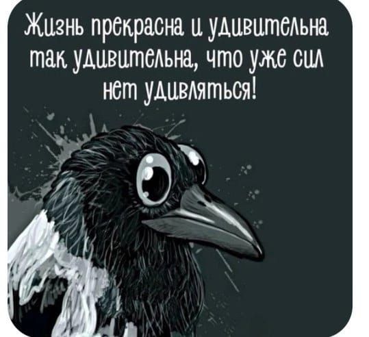 Жизнь прекрасна и удивцтсАьна так удивитеАьна что уже сил нет удивмться