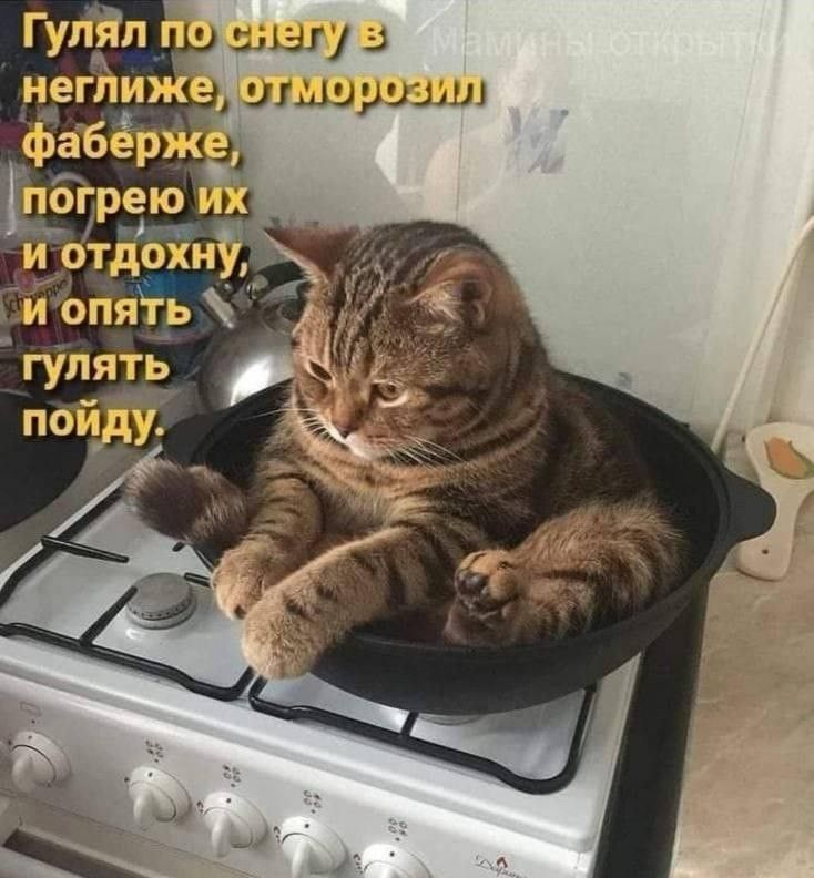 гл шщиршщл