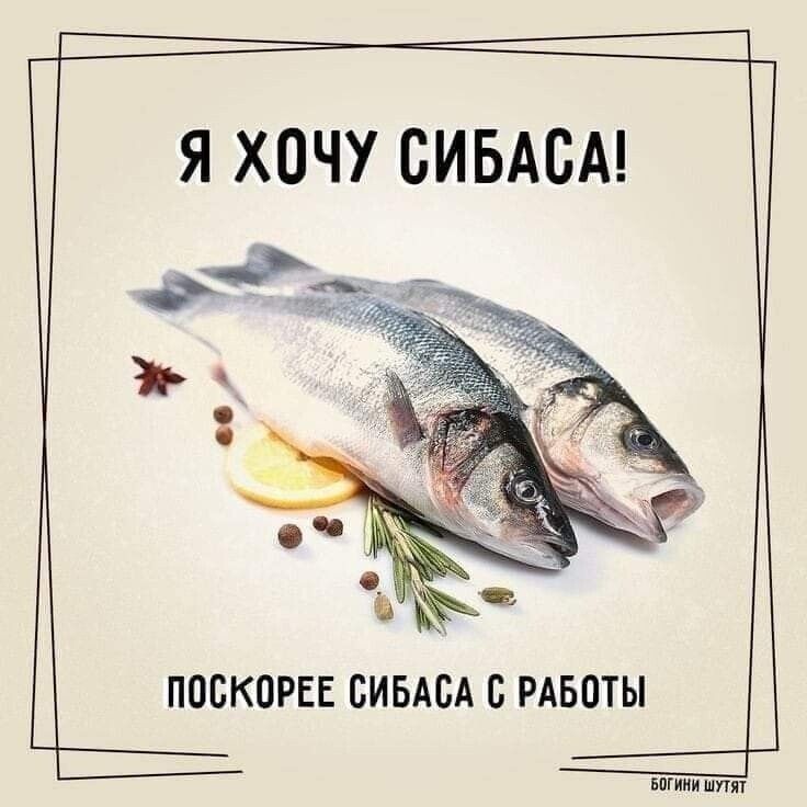 Я ХОЧУ СИБАСА