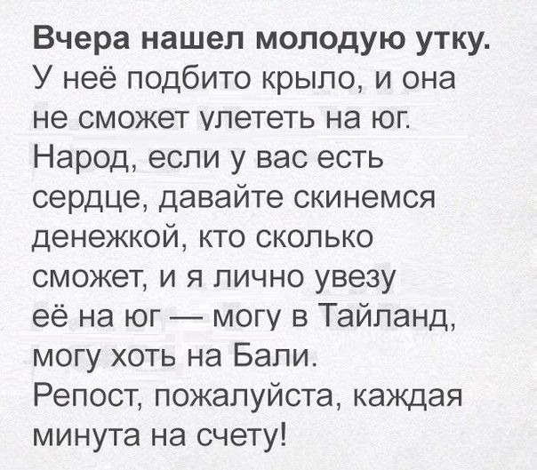 Вчера нашел молодую утку У неё подбито крыло и она не сможет улететь на юг Народ если у вас есть сердце давайте скинемся денежкой кто сколько сможет и я лично увезу её на юг могу в Тайланд могу хоть на Бали Репост пожалуйста каждая минута на счету