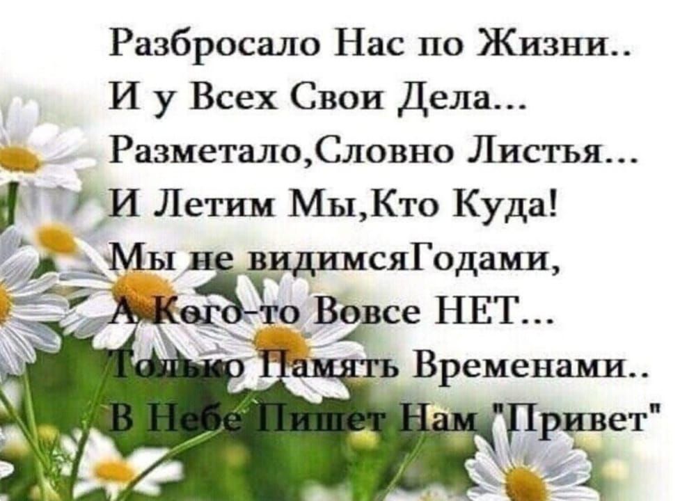 Разбросало Нас по Жизни И у Всех Свои Дела РазметалоСловно Листья И Летим Мы Кто Куда _дМы видимсяГодами зто Взвсе НЕТ