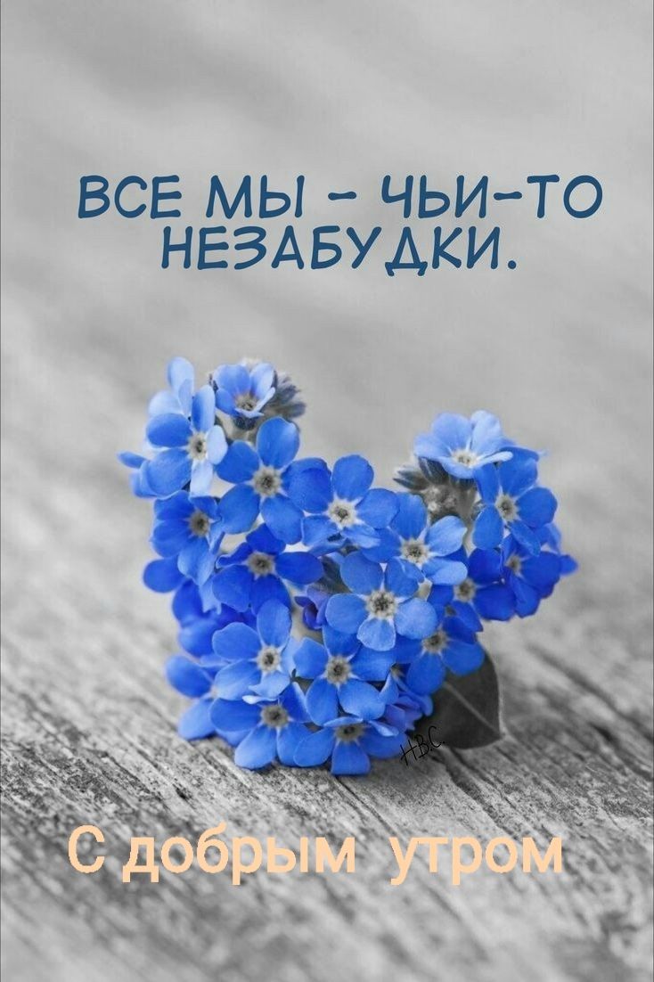 НЕЗАБУАКИ ВСЕ МЫ ЧЬИ ТО