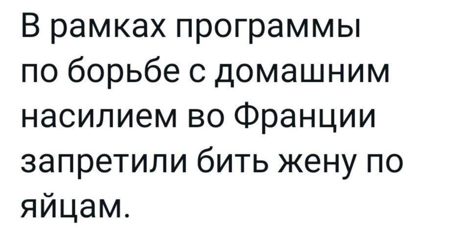 ВрамкахпрограММЬ поборьбесдомашним насилием во Франции запретили бить жену по яйцам _