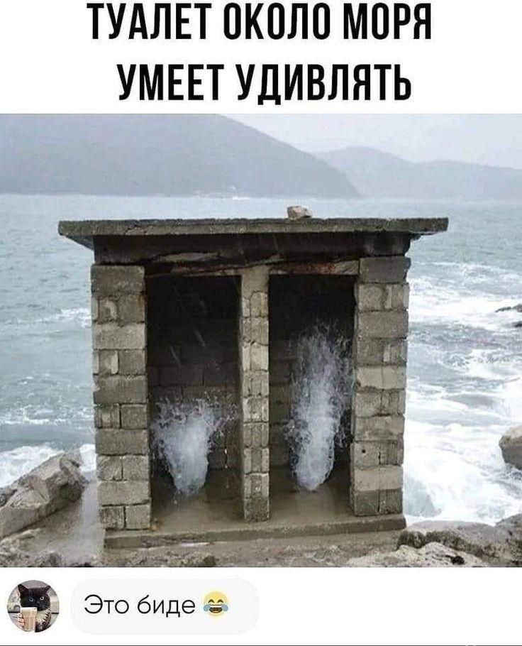 ТУАЛЕТ ОКОЛО МОРЯ УМЕЕТ УДИВЛЯТЬ аз Это биде