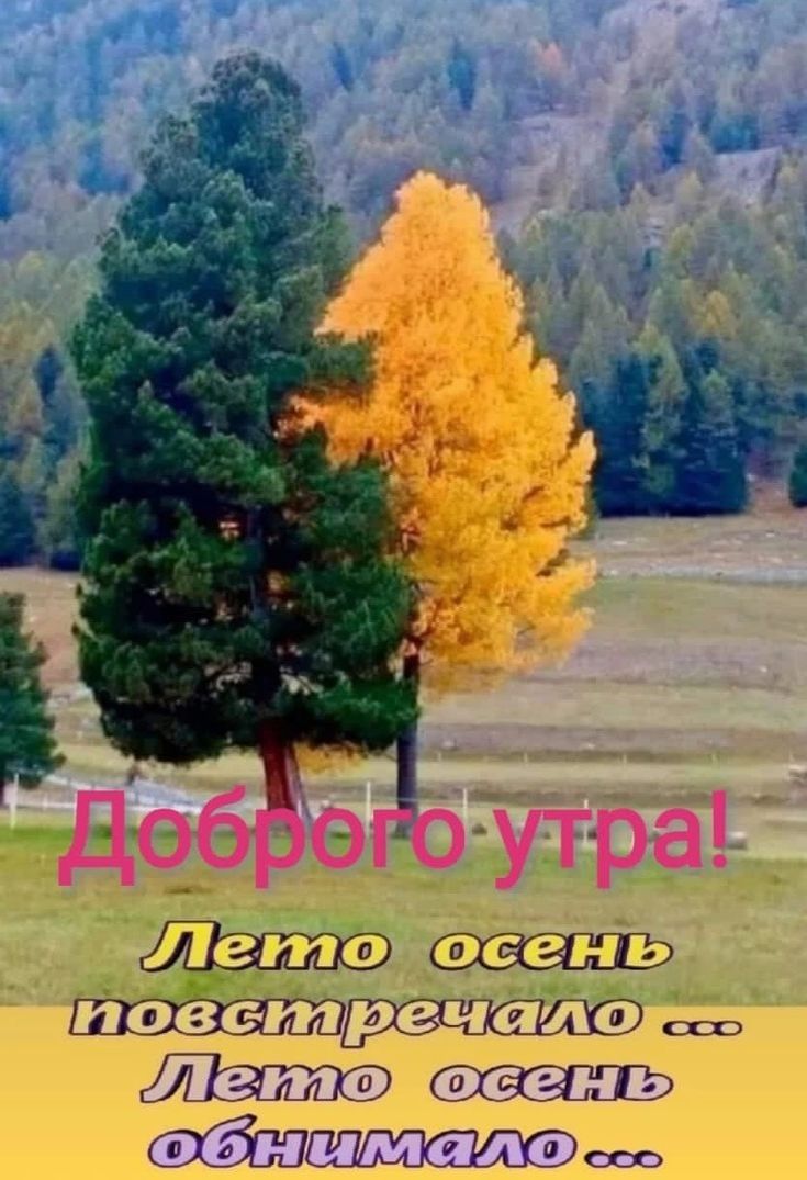 Х РООПаЛЮ сс