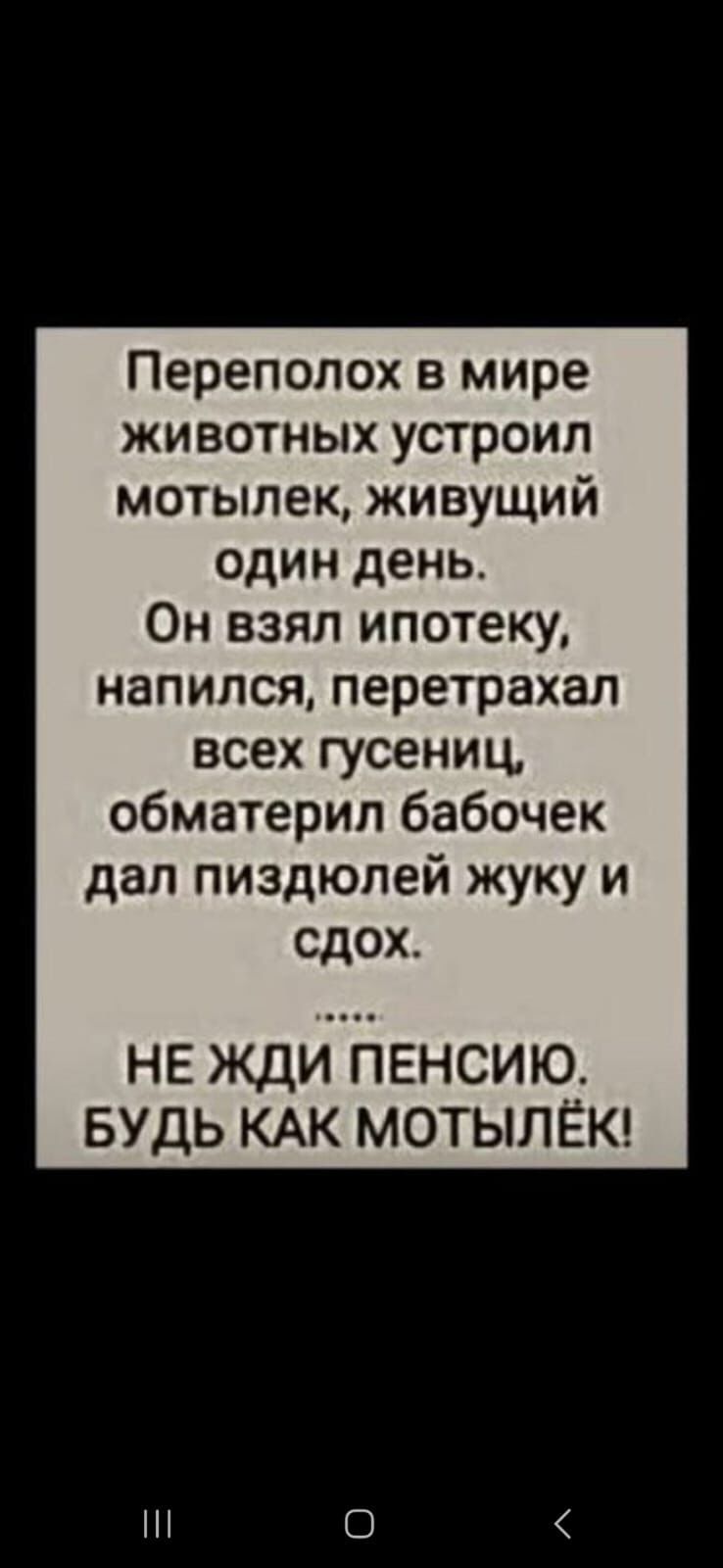 Переполох в мире животных устроил мотылек живущий один день Он взял ипотеку напился перетрахал всех гусениц обматерил бабочек дал пиздюлей жуку и сдох НЕ ЖДИ ПЕНСИЮ БУДЬ КАК МОТЫЛЁК Ш 0