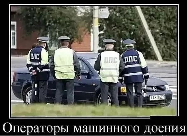 Операторы машинного доения