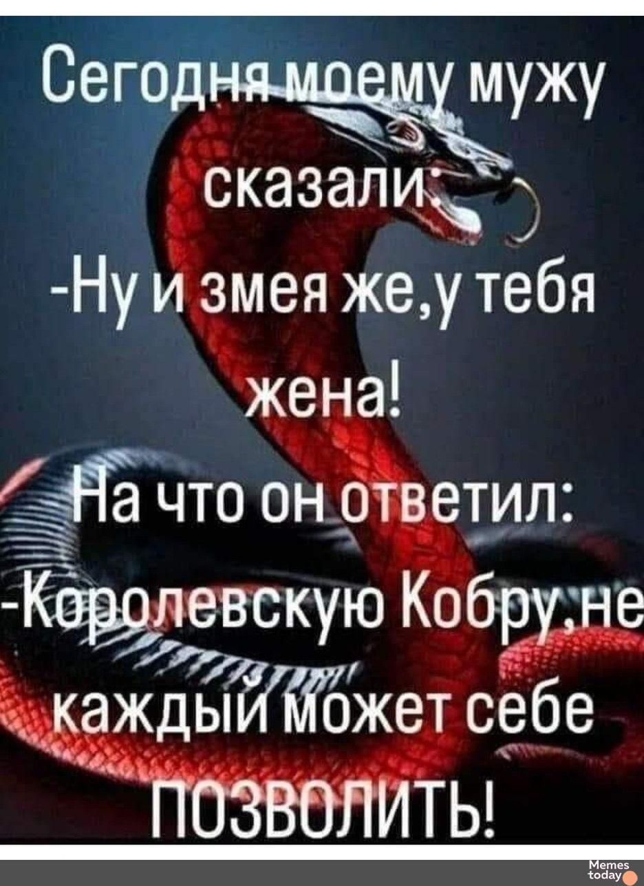 Сегодн шему мужу ёказали Нуи змея же утебя же__ а Ё ТО он тил к ю Кобруне у б Ціждыи же себе Ы