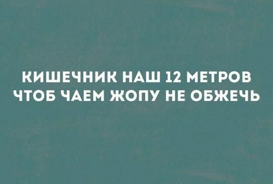 КИШЕЧНИК НАШ 12 МЕТРОВ ЧТОБ ЧАЕМ ЖОПУ НЕ ОБЖЕЧЬ