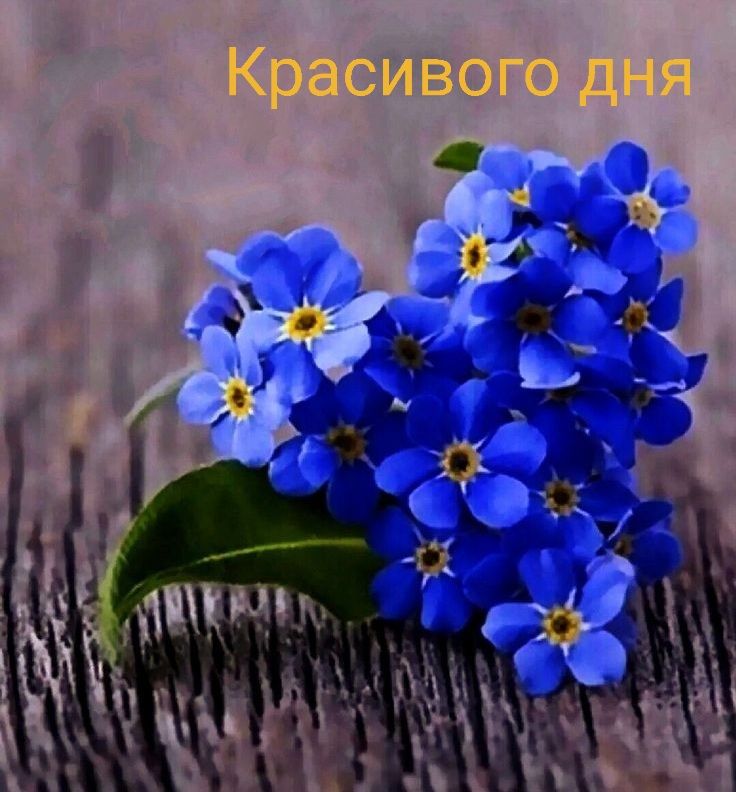 Красивого дня