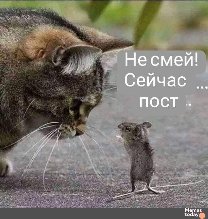 Не смей! Сейчас ... пост .