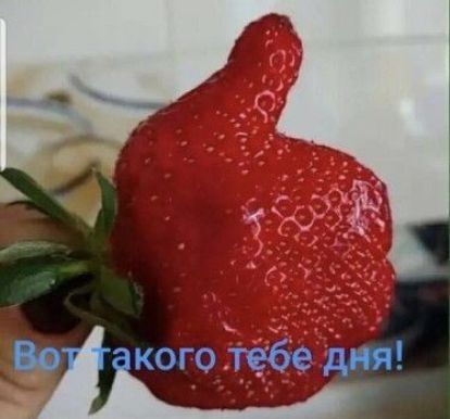 Вот такого тебе дня!