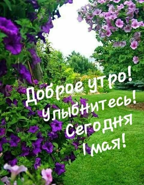 Доброе утро! Улыбнитесь! Сегодня 1 мая!