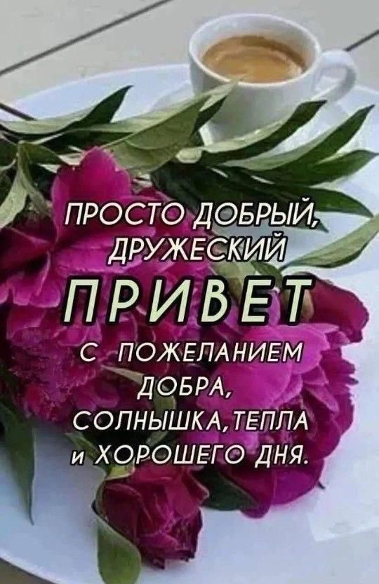 ПРОСТО ДОБРЫЙ, ДРУЖЕСКИЙ ПРИВЕТ С ПОЖЕЛАНИЕМ ДОБРА, СОЛНЫШКА, ТЕПЛА И ХОРОШЕГО ДНЯ.