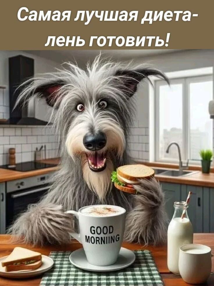 Самая лучшая диета-лень готовить!