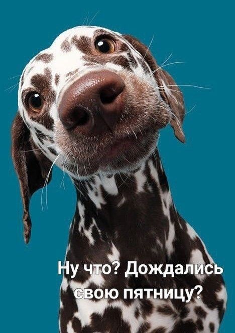 Ну что? Дождались свою пятницу?