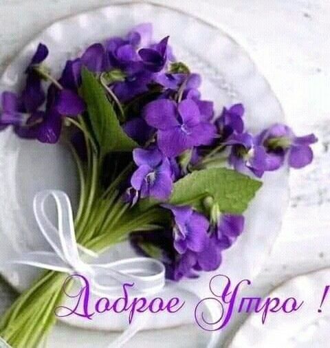 Доброе Утро !