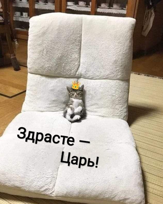 Здрасте — Царь!