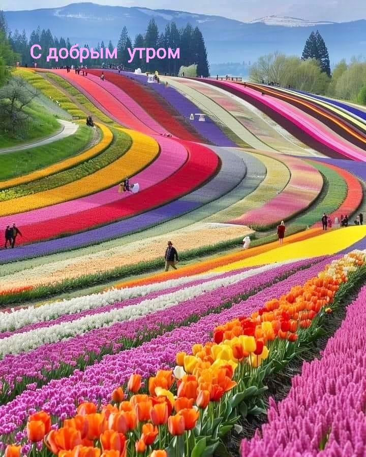 С добрым утром