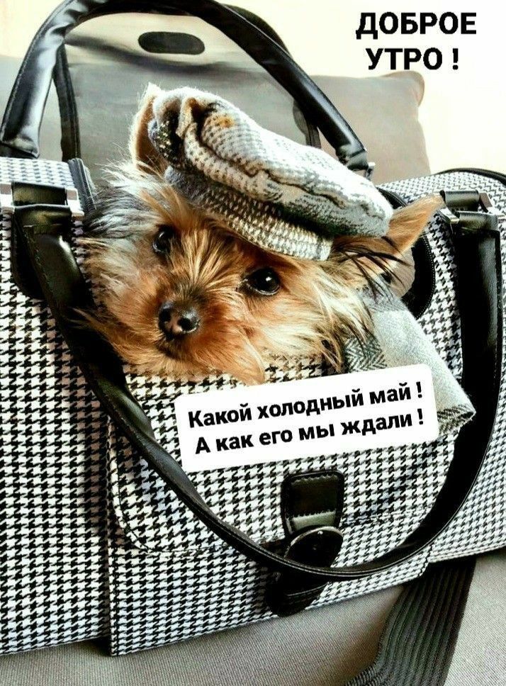 ДОБРОЕ УТРО ! Какой холодный май ! А как его мы ждали !