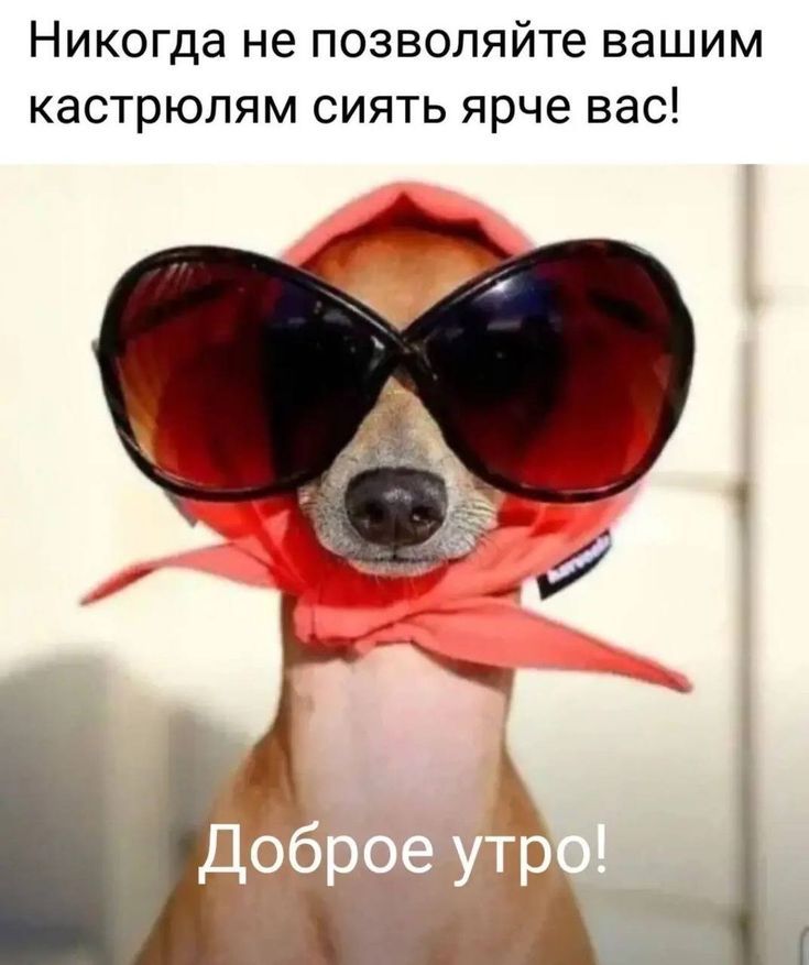 Никогда не позволяйте вашим кастрюлям сиять ярче вас!
Доброе утро!