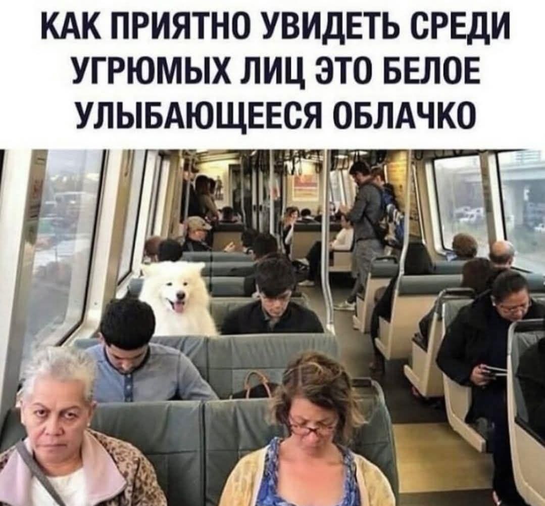 КАК ПРИЯТНО УВИДЕТЬ СРЕДИ УГРОМНЫХ ЛИЦ ЭТО БЕЛОЕ УЛЫБАЮЩЕЕСЯ ОБЛАЧКО
