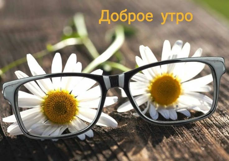 Доброе утро