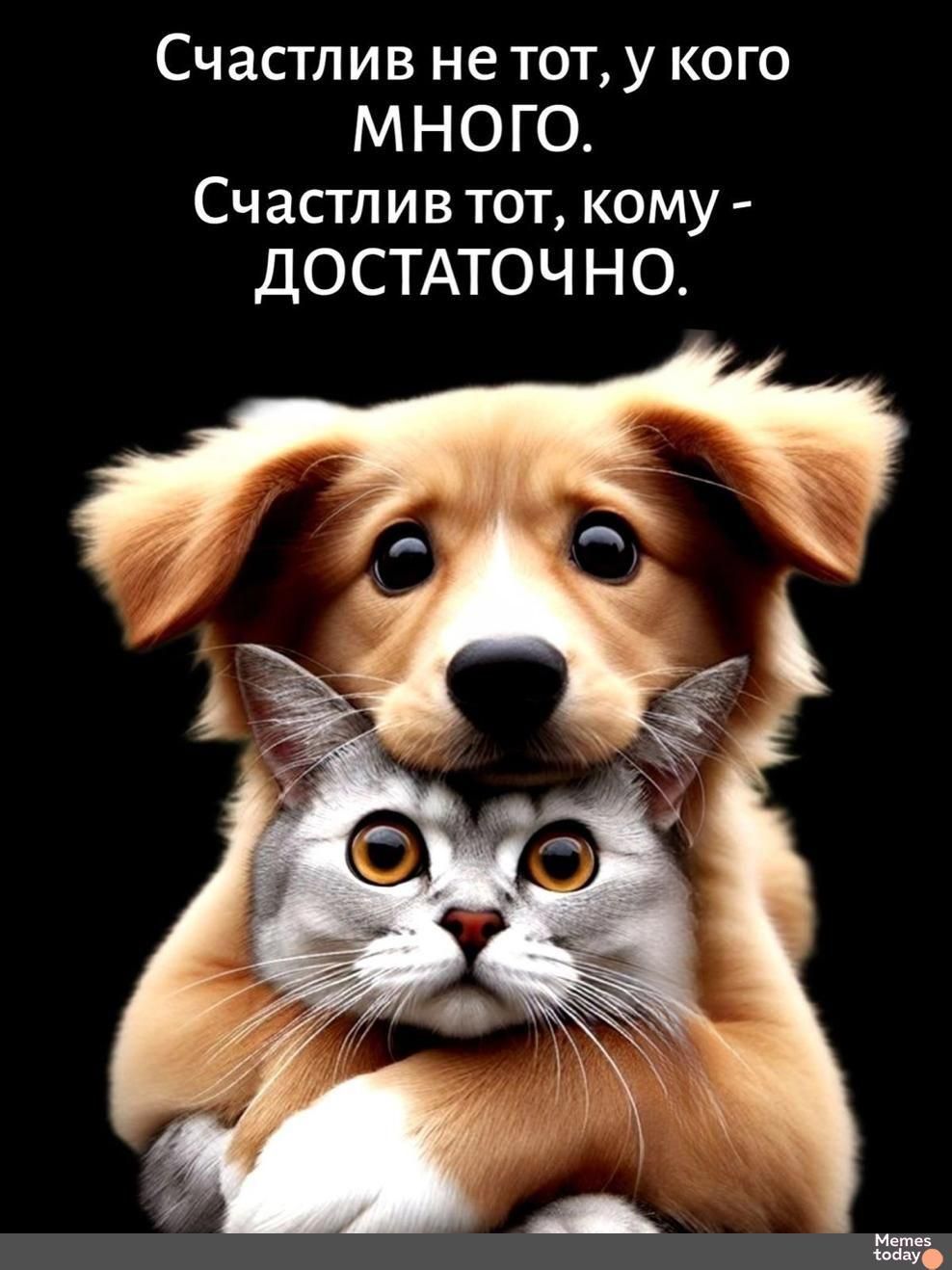 Счастлив не тот, у кого МНОГО.
Счастлив тот, кому - ДОСТАТОЧНО.