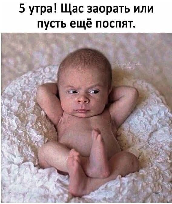5 утра! Щас заорать или пусть ещё поспят.