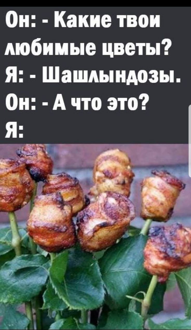 Он: - Какие твои любимые цветы? Я: - Шашлындозы. Он: - А что это? Я: