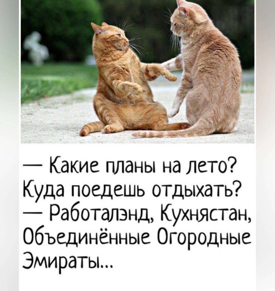 — Какие планы на лето? Куда поедешь отдыхать? — Работалэнд, Кухнястан, Объединённые Огородные Эмираты...