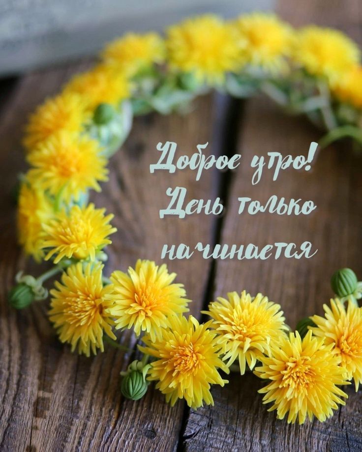 Доброе утро! День только начинается