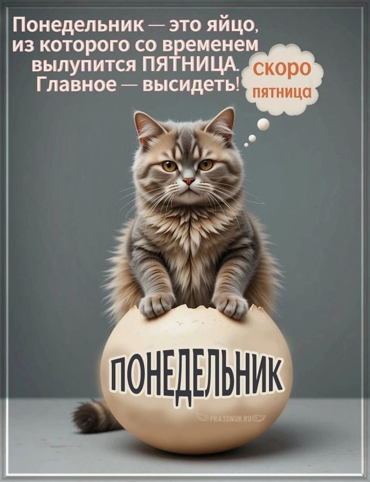 Понедельник — это яйцо, из которого со временем выпустится ПЯТНИЦА. Главное — высижет! скоро пятница.