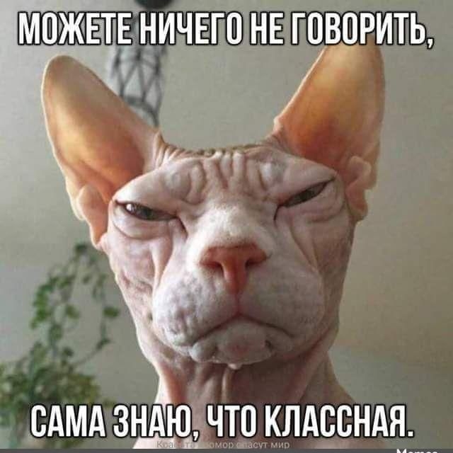 можете ничего не говорить, сама знаю, что классная.