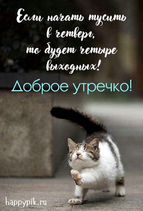 Если начинать тупить в четверг, то будет четыре выходных! Доброе утречко!