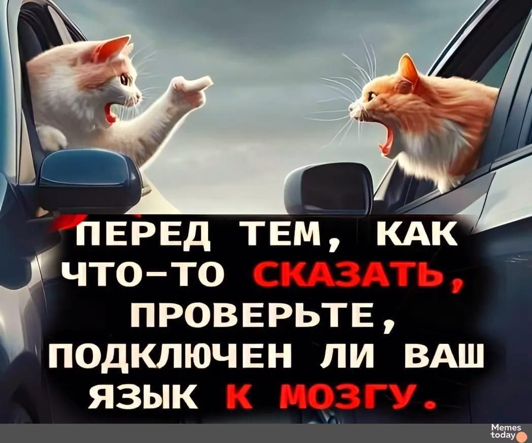 ПЕРЕД ТЕМ, КАК ЧТО-ТО СКАЗАТЬ, ПРОВЕРЬТЕ, ПОДКЛЮЧЕН ЛИ ВАШ ЯЗЫК К МОГУ.