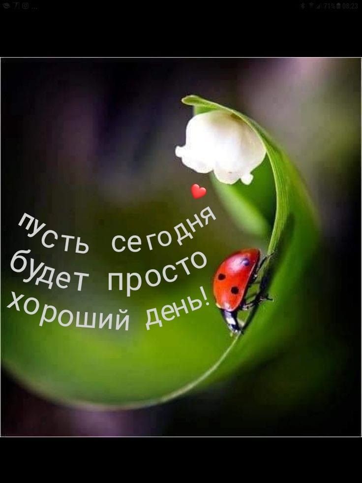 пусть сегодня будет просто хороший день!