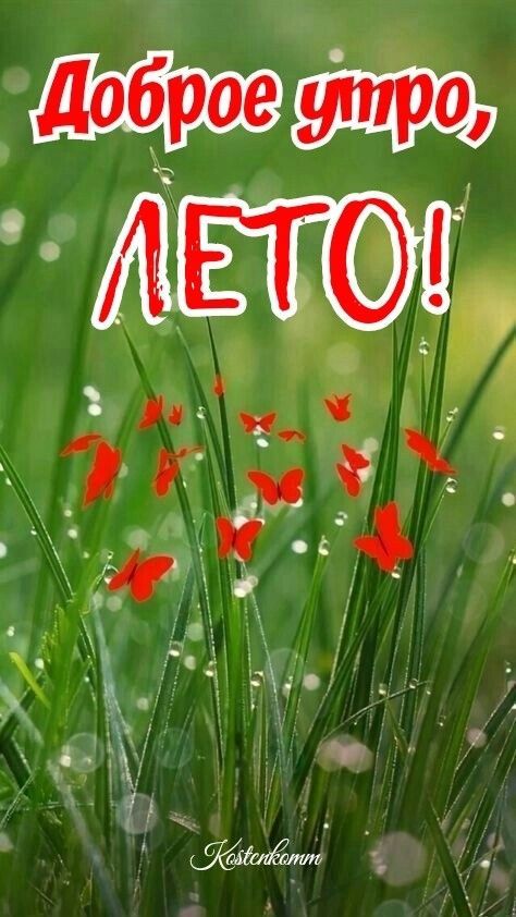 Доброе утро, ЛЕТО!