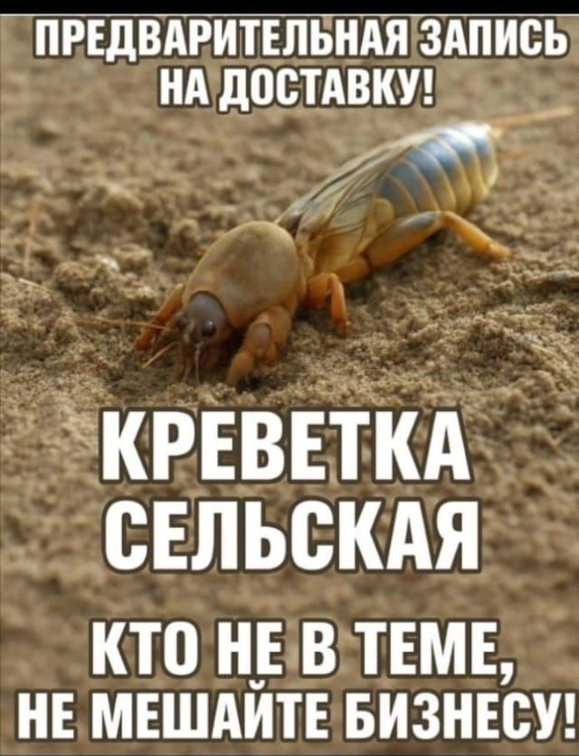 ПРЕДВАРИТЕЛЬНАЯ ЗАПИСЬ НА ДОСТАВКУ! КРЕВЕТКА СЕЛЬСКАЯ КТО НЕ В ТЕМЕ, НЕ МЕШАЙТЕ БИЗНЕСУ!