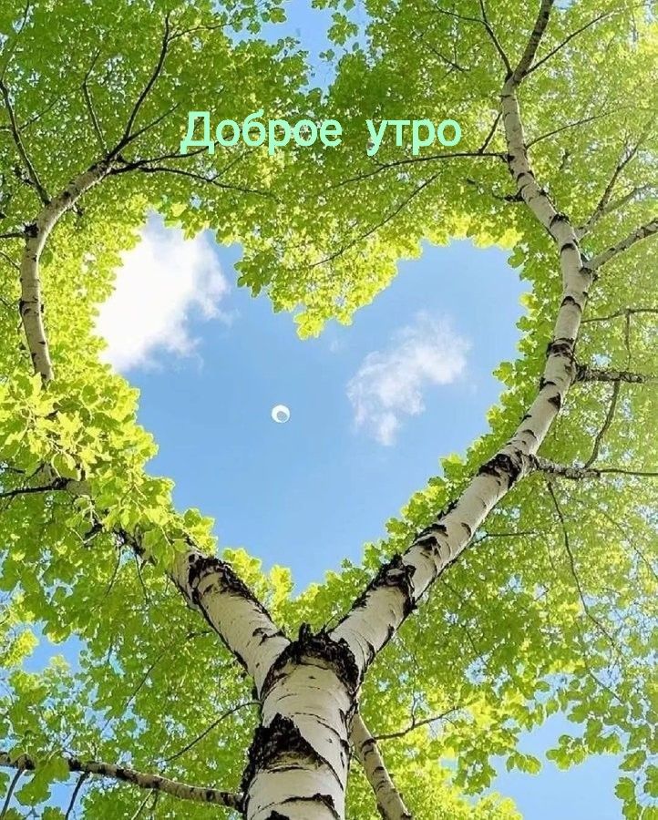 Доброе утро