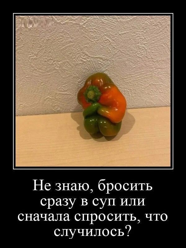 Не знаю, бросить сразу в суп или сначала спросить, что случилось?