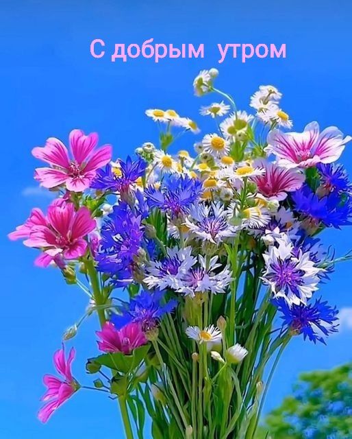 С добрым утром