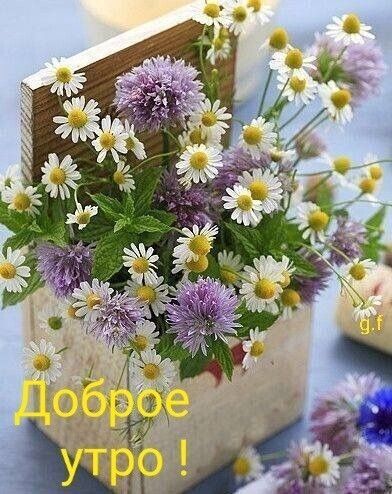Доброе утро !