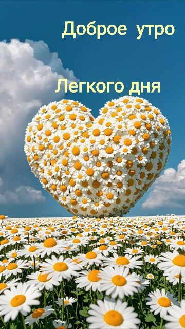 Доброе утро
Легкого дня